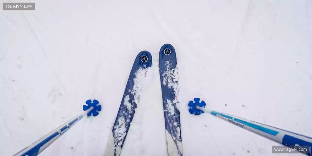 ⚽️全球赛事同步,见证每一个辉煌瞬间!